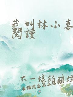 我叫林小喜免费阅读