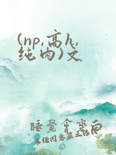 (np,高h,纯肉)文