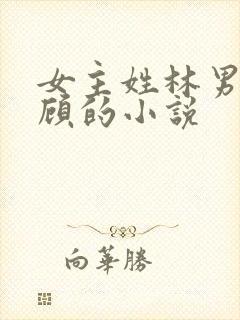 女主姓林男主姓顾的小说