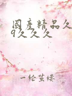 国产精品久久99久久久