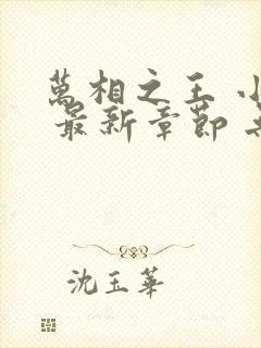 万相之王 小说 最新章节 无弹窗