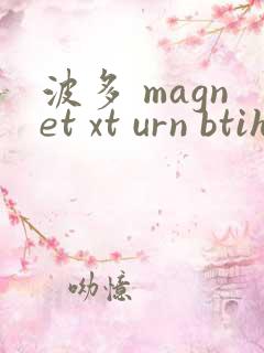 波多 magnet xt urn btih