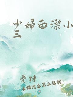 少妇白洁小说陈三