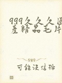 999久久久国产精品毛片