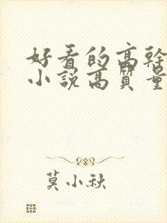 好看的高干言情小说高质量文笔好