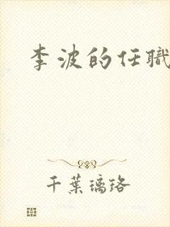 李波的任职经历