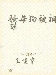 骚母狗被调教小说