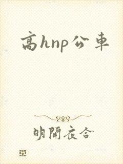 高hnp公车