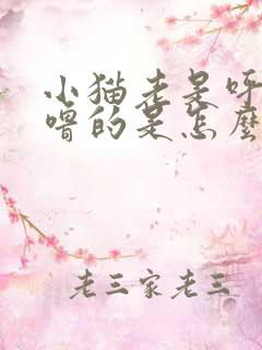 小猫老是呼噜呼噜的是怎么回事