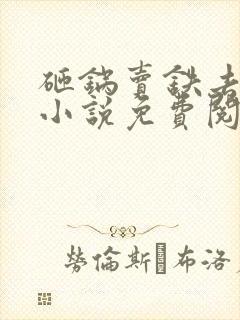 砸锅卖铁去上学小说免费阅读全文无窗口