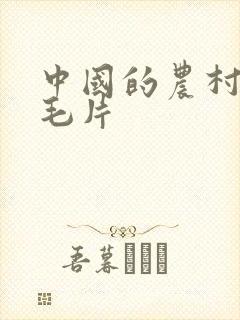 中国的农村女人毛片