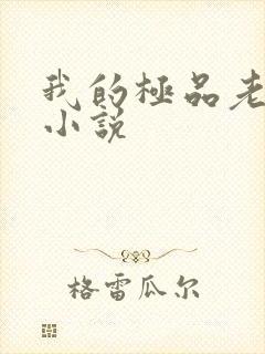 我的极品老婆 小说