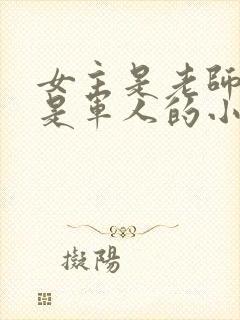 女主是老师男主是军人的小说