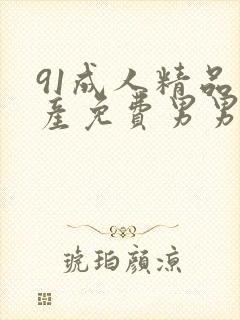 91成人精品国产免费男男