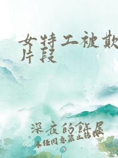 女特工被欺负的片段