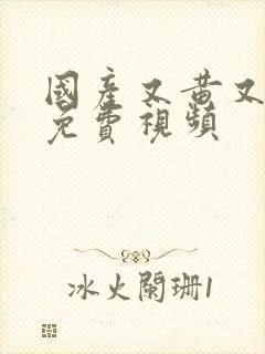 国产又黄又湿的免费视频