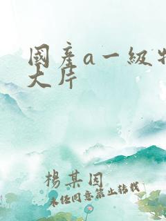 国产a一级特黄大片