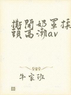 撕开奶罩揉吮奶头高潮av