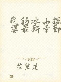 我的冰山总裁老婆最新章节阅读