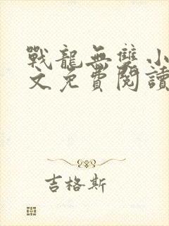 战龙无双小说全文免费阅读