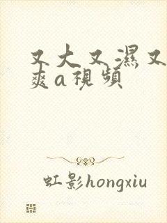 又大又湿又紧又爽a视频