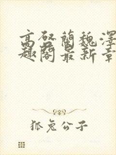 高启兰魏泽南笔趣阁最新章节