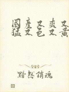 国产又爽又粗又猛又色又黄视频