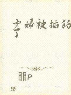 少妇被插的高潮了