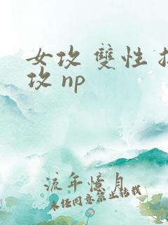 女攻 双性 总攻 np