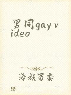 男同gay video