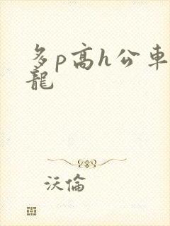多p高h公车双龙