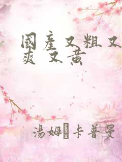 国产又粗又猛又爽 又黄