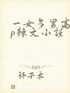 一女多男高hnp辣文小说