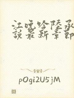 江晚吟陆承珩小说最新章节