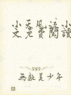 小天风流小说全文免费阅读无弹窗