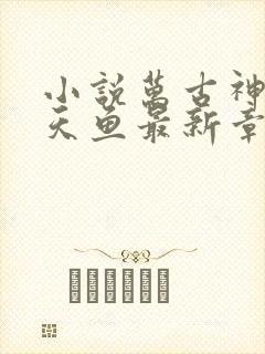 小说万古神帝飞天鱼最新章节列表免费