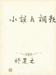 小说 h 调教