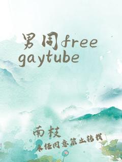 男同free gaytube