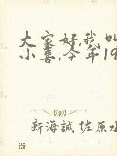 大家好,我叫林小喜,今年19岁小说