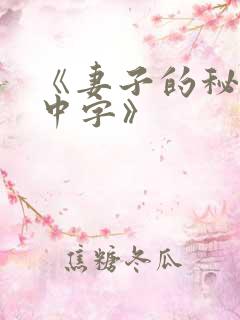 《妻子的秘密3中字》