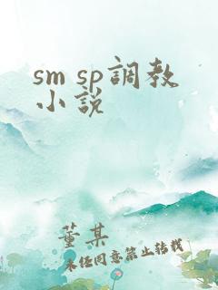 sm sp调教小说