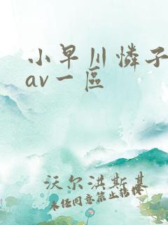 小早川怜子在线av一区