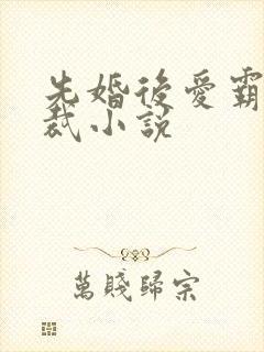 先婚后爱霸道总裁小说