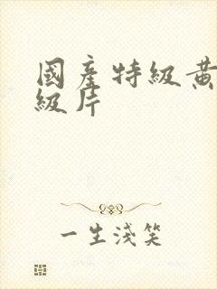 国产特级黄色一级片