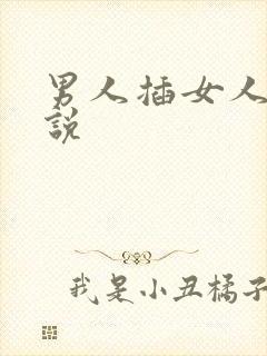 男人插女人的小说