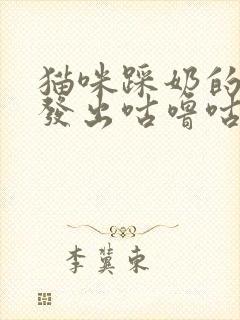 猫咪踩奶的时候发出咕噜咕噜的声音