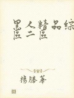 黑人精品综合一区二区