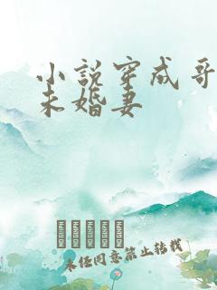 小说穿成哥哥的未婚妻