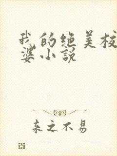 我的绝美校花老婆小说