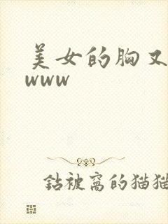 美女的胸又黄又www